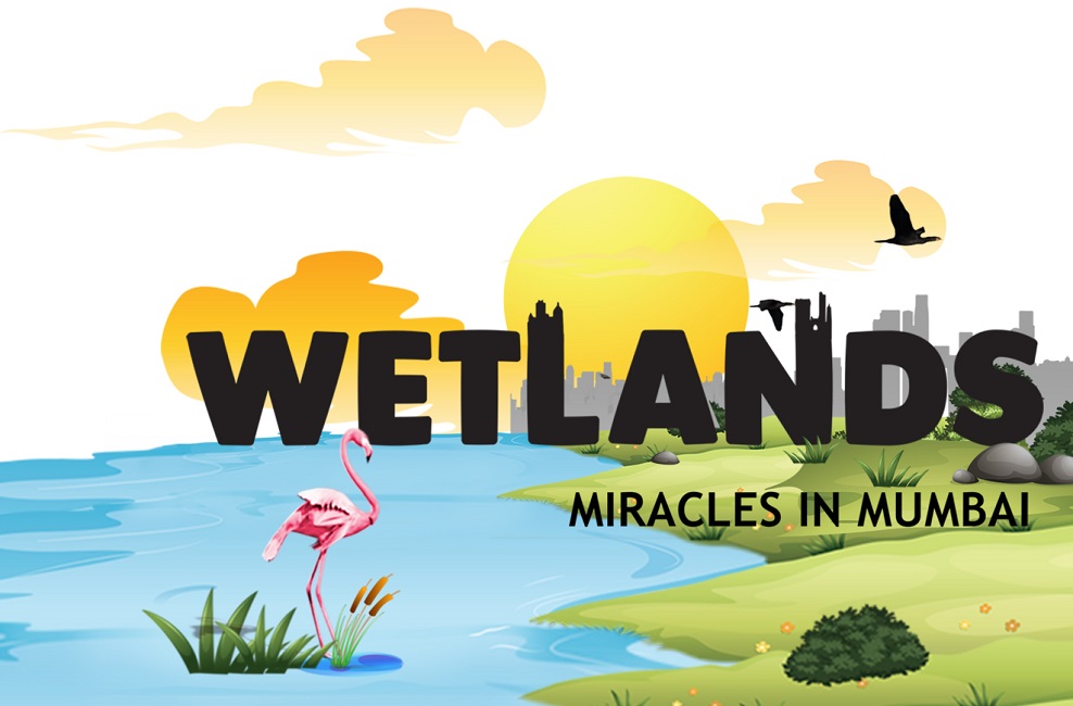 WETLANDS