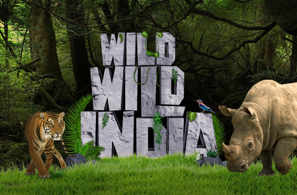 WILD WILD INDIA
