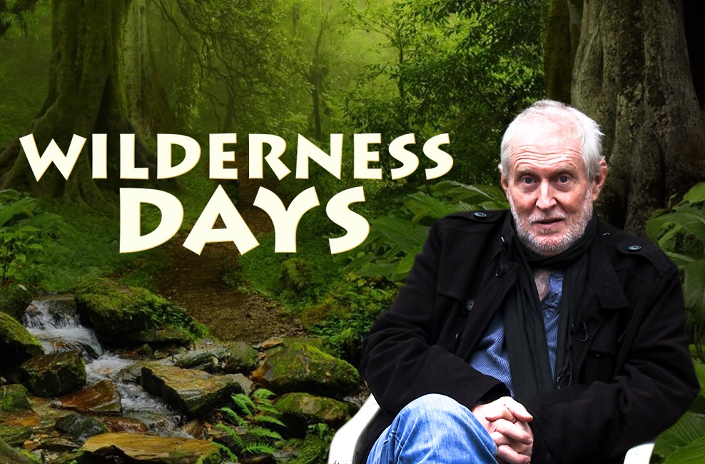 WILDERNESS DAYS